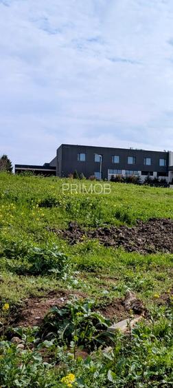 Paradisul Verde-Corbeanca,intravilan,10300mp,deschidere lac-120m,view deosebit - 3