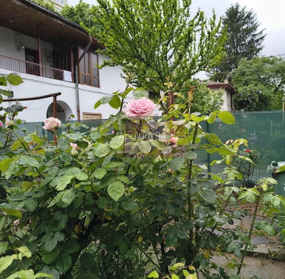 Apartament frumos și cochet cu centrală proprie aproape de Parcul IOR - 31