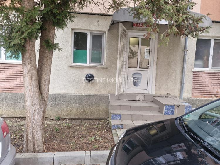 Spatiu Comercial Pizzerie - 13