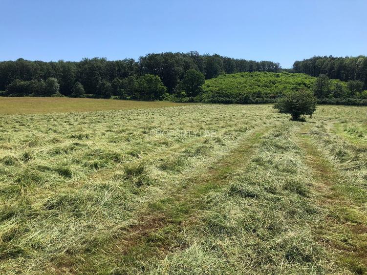 Teren arabil de 630 hectare în Galați - 2