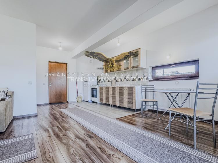 Apartament modern cu 1 cameră situat pe Str Gaudi/Borhanci - 14