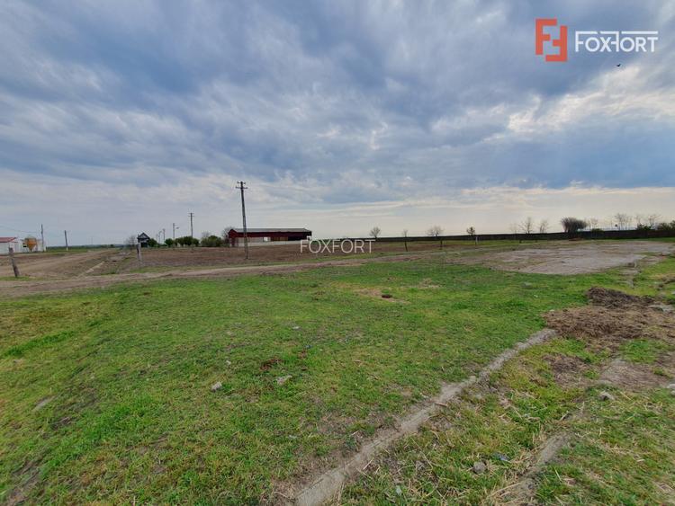 Teren intravilan cu suprafata de 58.340 mp, in Sanmartinul Sarbesc - 25