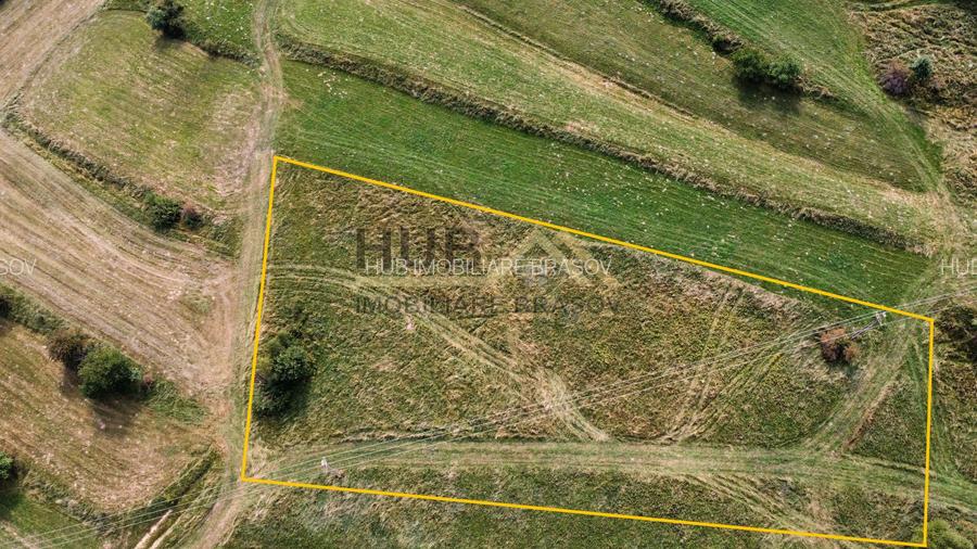 Teren de Vanzare Zarnesti | Utilitati | 3.698mp - 4