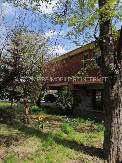 Vila unicat de inchiriat in Mamaia - 5