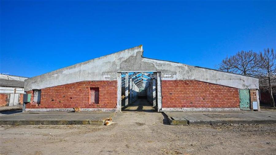 Ansamblu agrozootehnic cu renume,dotat +valoare exceptionala+potential versatil, - 35