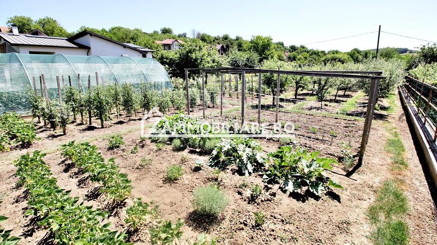 Teren intravilan 1.300 mp.zona Belvedere Targu Mures - 3