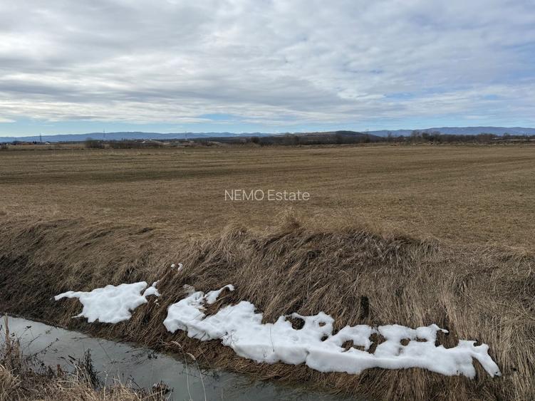 Teren extravilan | Rădăuți – zona Jalcău | 3.900 mp | 41 m front - 3