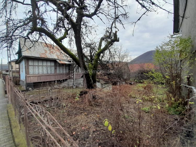 Casa traditionala cu anexe si gradina,Zona Nasaud - 14