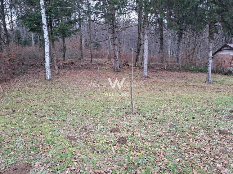 Teren deosebit pozitionat, cu livada, langa padure,  pe Valea Avrigului - 4