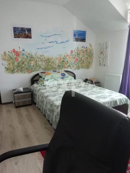 Casa 3 camere in Trivale | str Campului | Mobilata si Utilata - 9