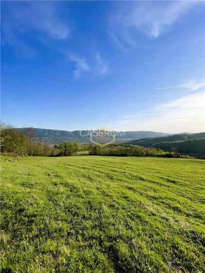 Teren de 9.500 mp in Maramures | Varf de deal, priveliste de pus in rama | Retre - 8