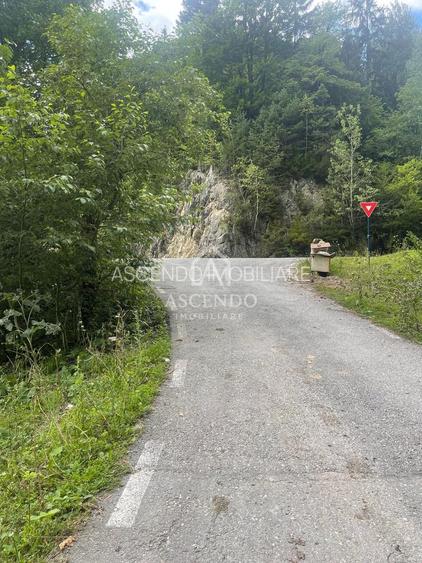 Teren Investiție Turistică Dâmbovicioara Baranga | 4.500 mp - 14