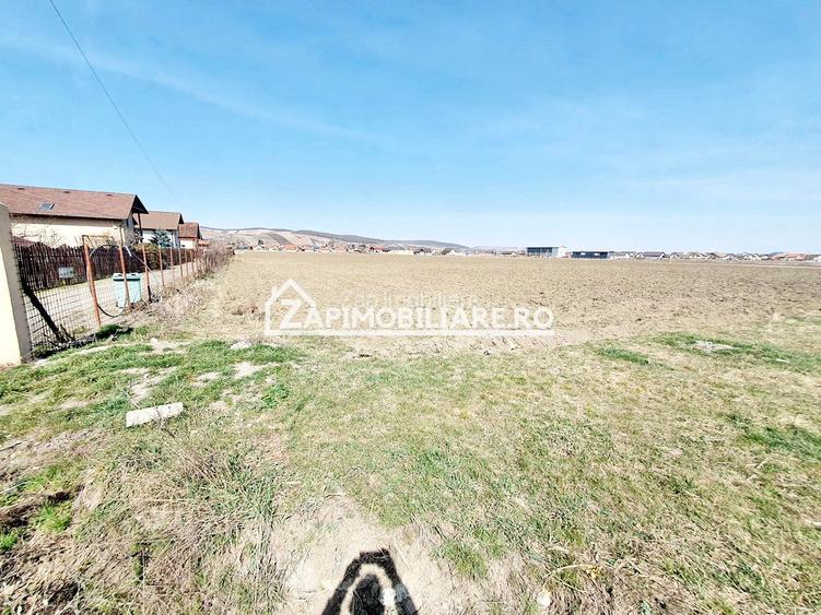 Teren 27.000 mp.deschidere la 2 drumuri ,75 euro mp. - 7