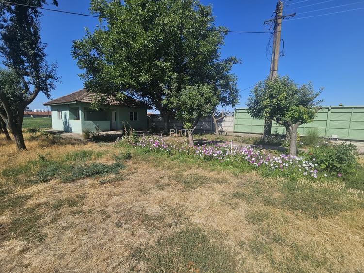 Proprietate agroindustriala, hala 1590 mp, teren 28000 mp, panouri 398 kWp - 19