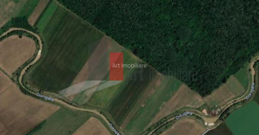 Teren Intravilan Padure Joita - 5
