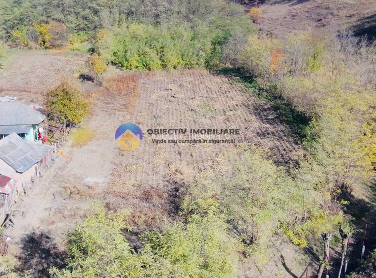 Teren de vânzare 11.766 mp – Costișa, județul Neamț - 8