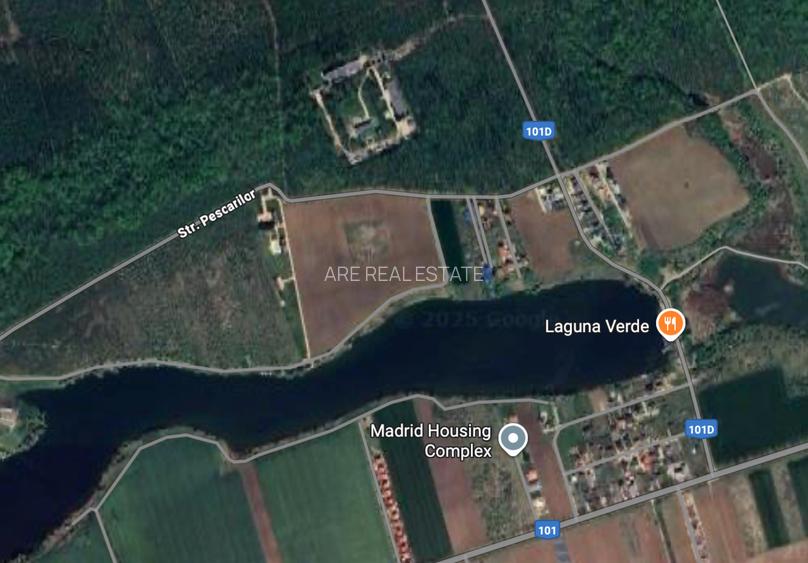 Teren de 6.303mp cu acces direct la lac, între pădure și apă – Moara Vlăsiei - 3