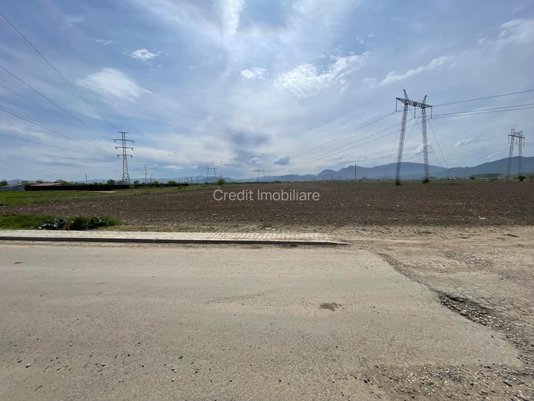 Teren Sanpetru str. Sfantul Andrei 32.100mp ! - 4