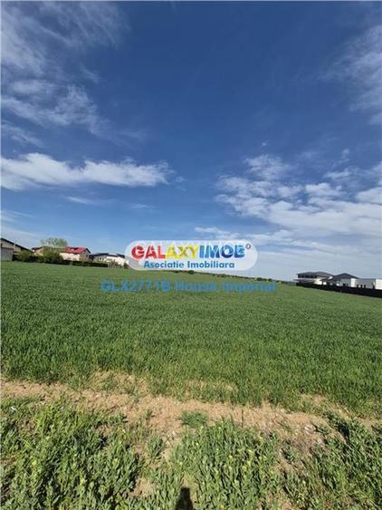 Teren Intravilan Dragomiresti Vale - 3
