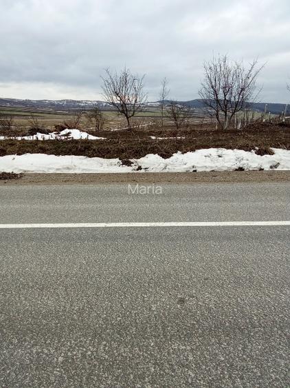 Vind teren intravilan +extravilan  - 5