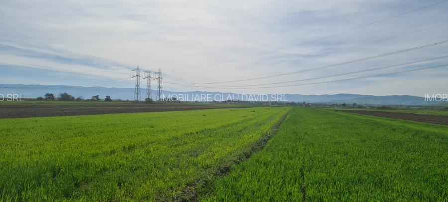 TEREN EXTRAVILAN LANGA FABRICA DE CHERESTEA Holzindustrie Schweighofer - RECI - 2