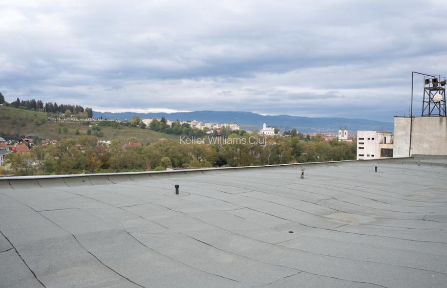 Cladire industriala cu potential mixt – productie, depozitare, servicii –Toplita - 9