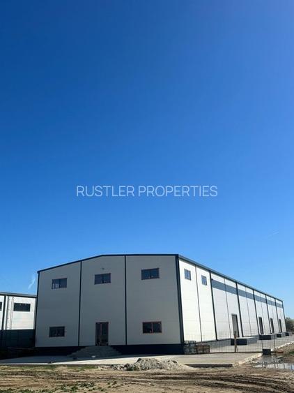 Hala de vanzare la ieșirea din București - 2