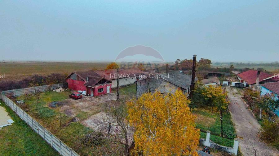 Teren 7500mp și construcții de vânzare, Tilecuș - 16