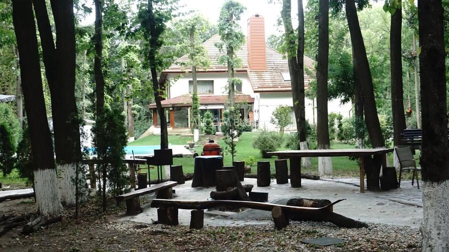 Vila superba in Padurea Baneasa, curte 5000 mp, piscina exterioara - 42