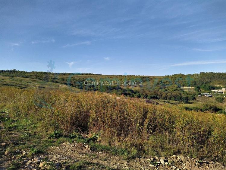 Teren intravilan de vanzare,  priveliste spre lac, Saldabagiu de Munte - 4