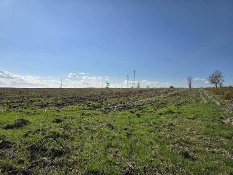Teren 1300mp cu casa batraneasca - 14