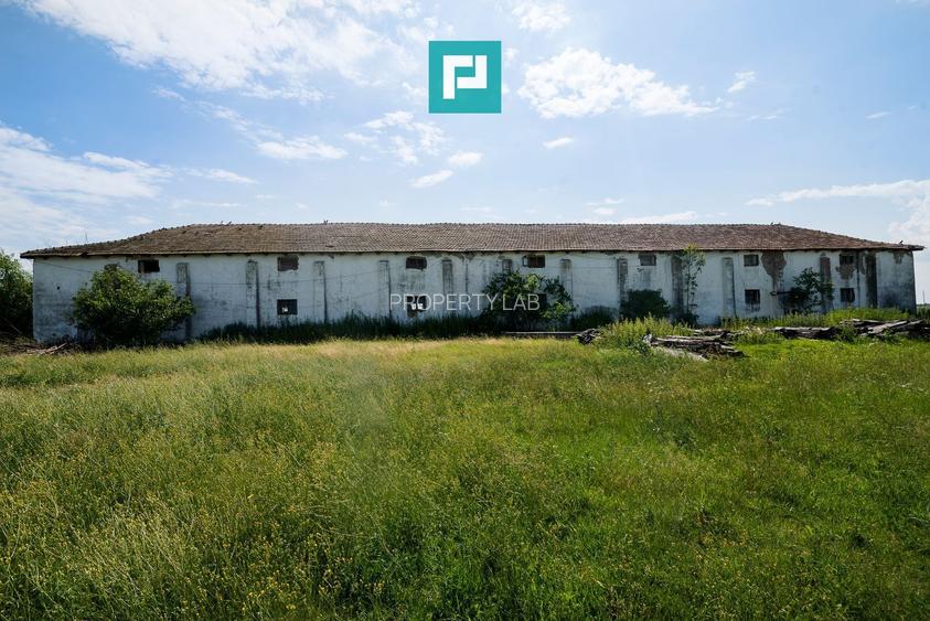 Hală industrială cu teren generos în Zărand, Arad - 8