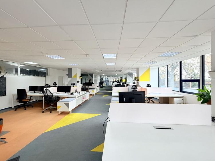 Un sediu care inspiră încredere, în inima Timișoarei - 15