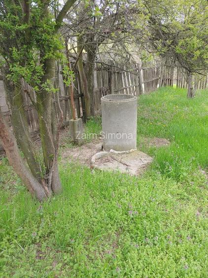 Proprietate 4.209 mp – Turburea, Gorj - 2