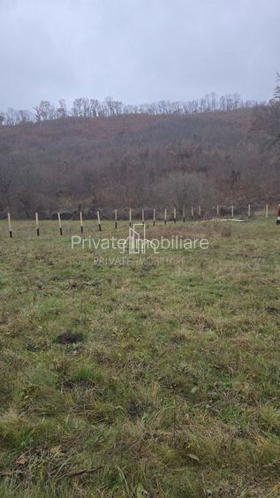 Teren de vanzare, 20.000Mp , Comuna Danes, drumul Crisului - 15