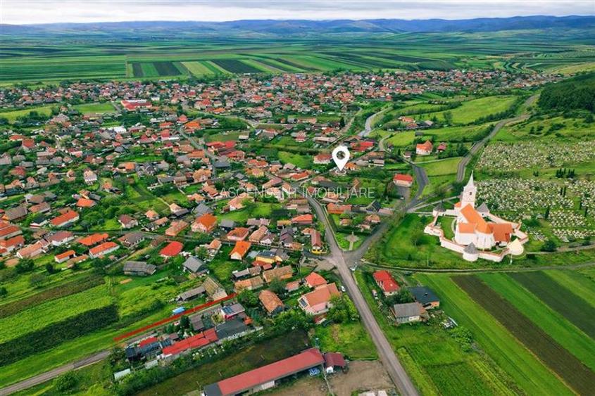 FILM! Gospodarie cu atmosfera traditionala,1.032 mp de verde si gradinarit, Sanz - 2