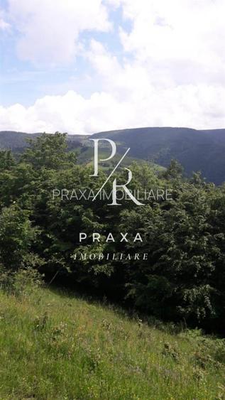 Teren de vanzare 10.000 mp/ parcelabil, cu utiitati, 4 euro/ mp! Maguri Racatau! - 11