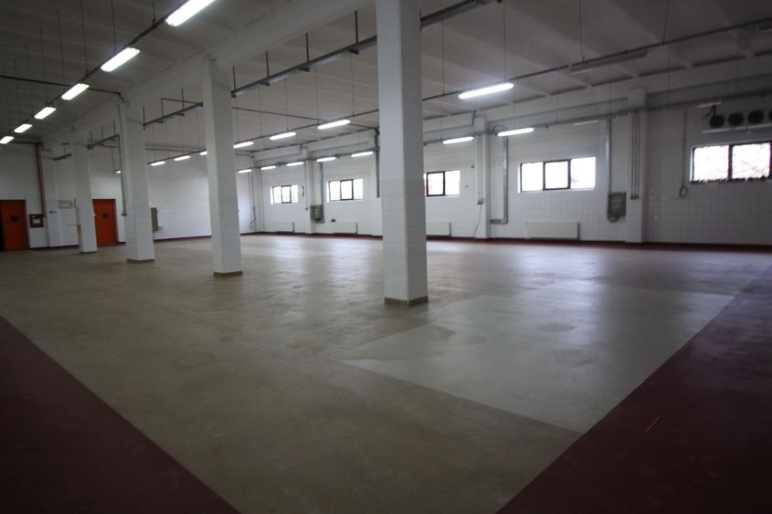 Hala productie - Calea Torontalului de vanzare
