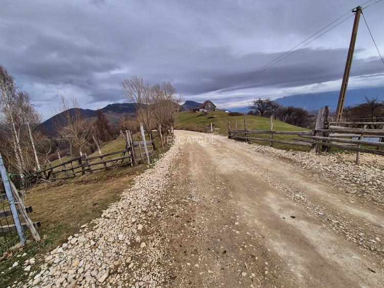 Teren cu energie speciala, Pestera/ 13570mp extravilan/Comision 0 % - 7