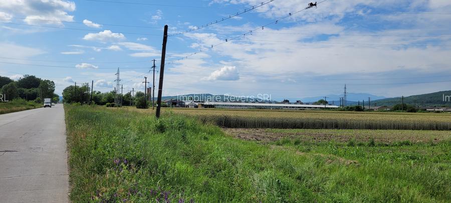 TEREN AGRICOL BABENI LANGA ABATOR LA PROVINCIA - pretabil ferma cu panour solare - 4