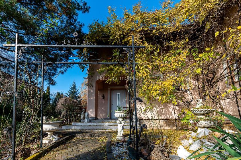 0%  COMISION! Casa individuala, garaj, 950 mp de teren, Borhanci - 19