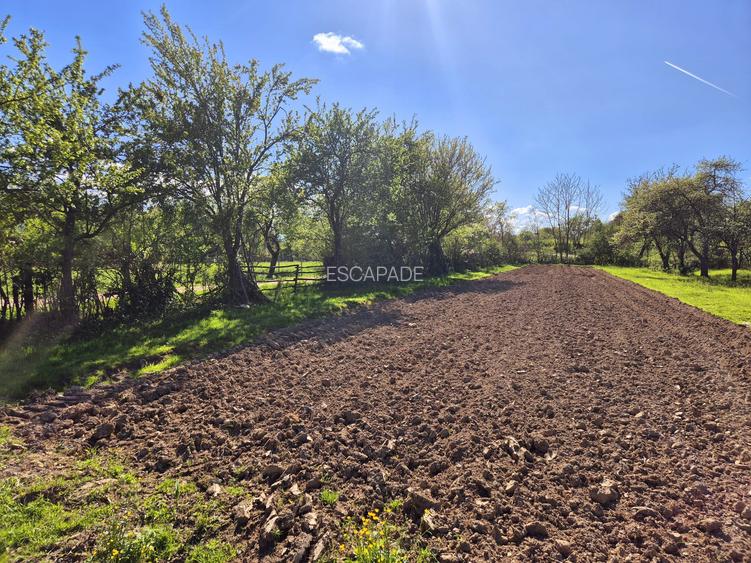 Comision 0 %/ Teren intravilan Sercaita 2247 mp - 12