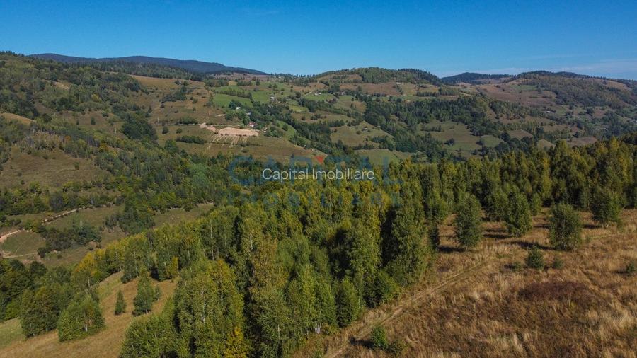 Comision 0% teren intravilan 1000 mp, PUZ, priveliste, Baisoara - 10