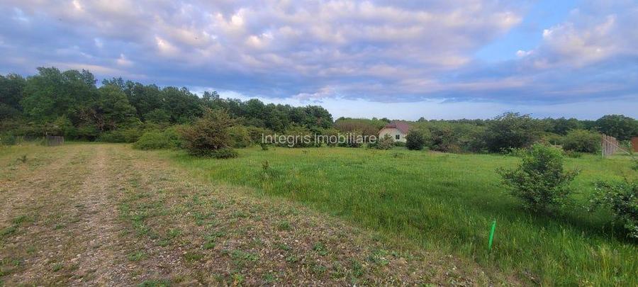 Teren intravilan in Gepiu - 4