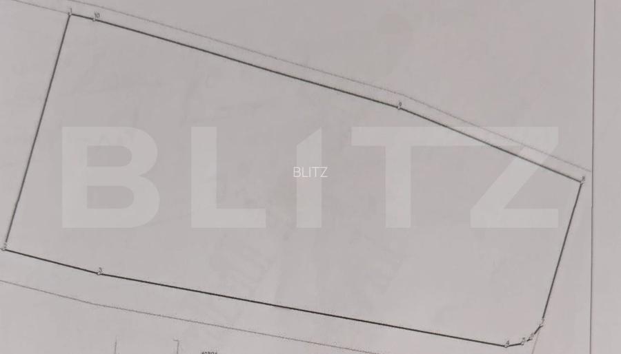 Teren intravilan, 10.000 mp, front peste 150 metri, zona Curtea Regala/Panoramic - 2