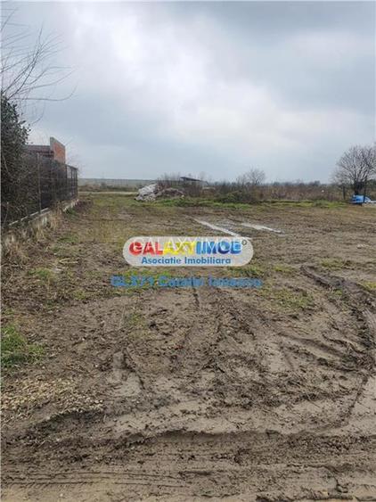 Vanzare teren intravilan Domnesti Teghes - 3