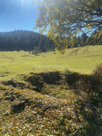 Teren extravilan la Poiana Horea - Belis - 16.000 mp - 5