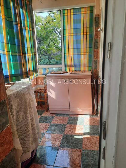 Titan-Nicolae Grigorescu - 9