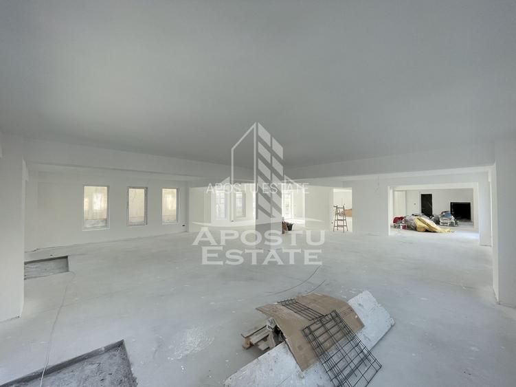 Spatiu comercial 238 mp, zona Lipovei , artera circulata - 2