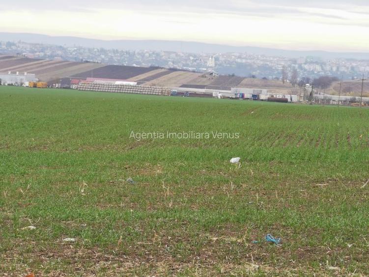 Terenuri in Rachiti - 9